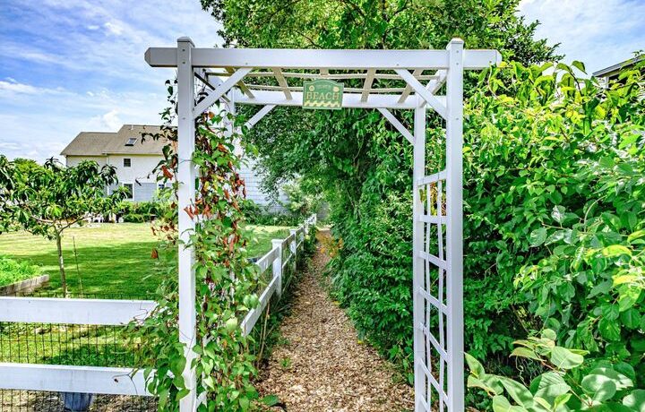 Trellis